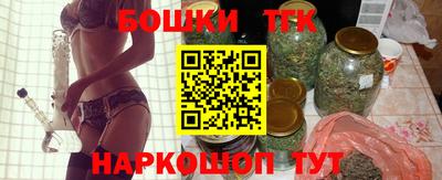 крисы Славгород