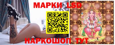 крисы Славгород