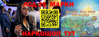 крисы Славгород