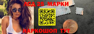 крисы Славгород