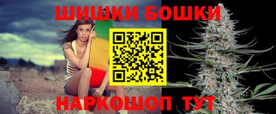 крисы Славгород