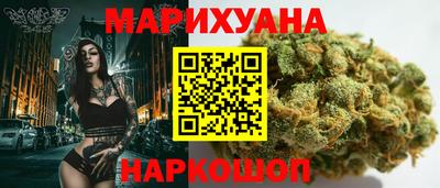 крисы Славгород