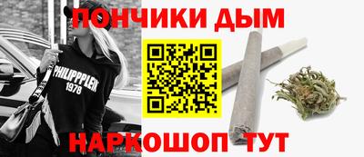 крисы Славгород
