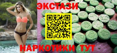 крисы Славгород