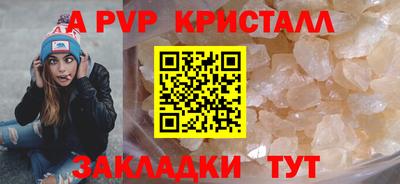 крисы Славгород