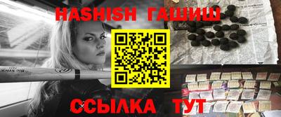 крисы Славгород