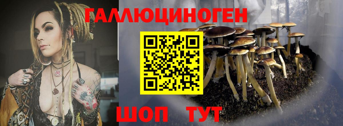 как найти наркотики  Галлюциногенные грибы мицелий  Вход с VPN  Новочебоксарск 